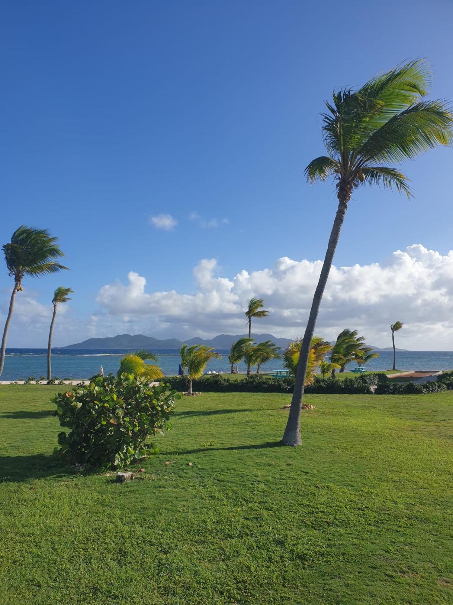 Coralito Bay Suites & Villas The Valley Bagian luar foto
